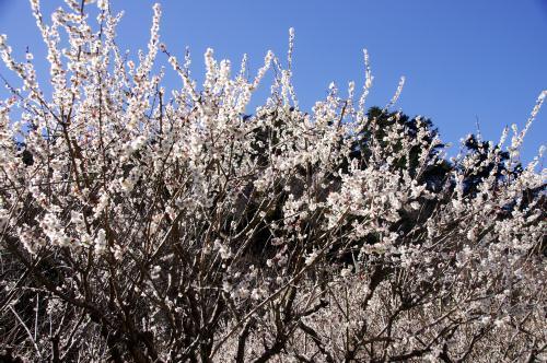 170311E.jpg