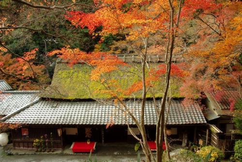 10年11月24日 水 の京都市内の 嵯峨野 の鮎茶屋 平野屋 と つたや の大きな写真 Matsumo S Blog 写真と本と音楽と生録音等のページ