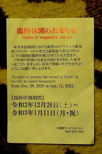 201225ZH.jpg